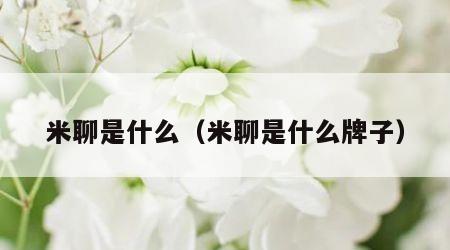 米聊是什么（米聊是什么牌子）