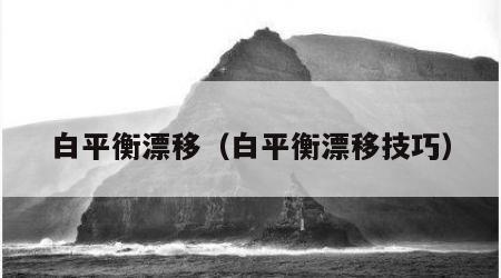 白平衡漂移（白平衡漂移技巧）