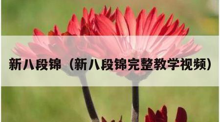 新八段锦（新八段锦完整教学视频）
