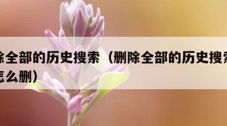 删除全部的历史搜索（删除全部的历史搜索记录怎么删）