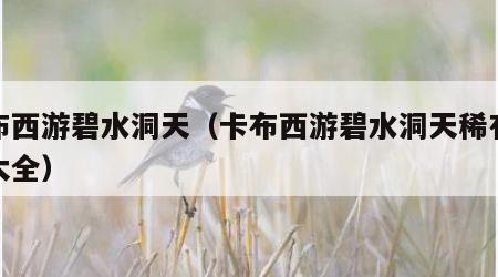 卡布西游碧水洞天（卡布西游碧水洞天稀有妖怪大全）