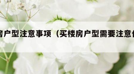 买房户型注意事项（买楼房户型需要注意什么）