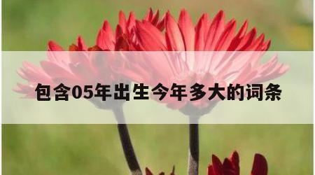 包含05年出生今年多大的词条