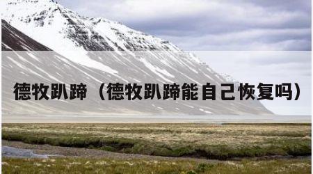 德牧趴蹄（德牧趴蹄能自己恢复吗）