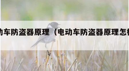 电动车防盗器原理（电动车防盗器原理怎样接线）