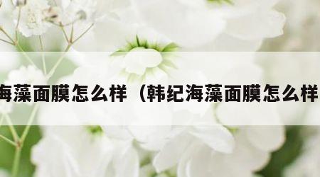 海藻面膜怎么样（韩纪海藻面膜怎么样）