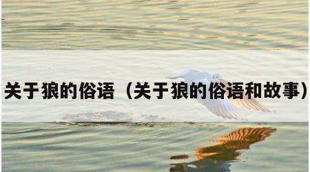关于狼的俗语（关于狼的俗语和故事）