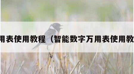万用表使用教程（智能数字万用表使用教程）