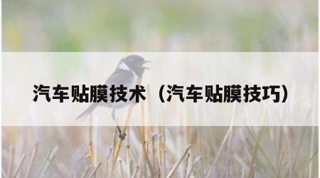 汽车贴膜技术（汽车贴膜技巧）