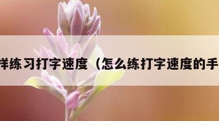 怎样练习打字速度（怎么练打字速度的手法）