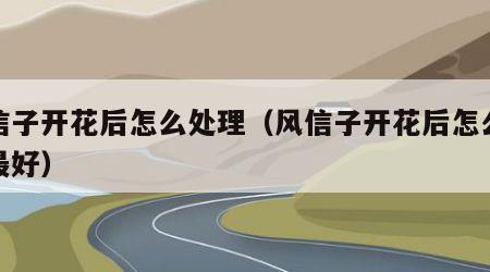 风信子开花后怎么处理（风信子开花后怎么处理最好）