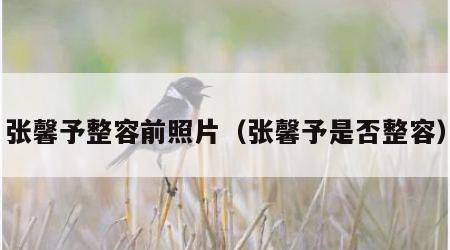张馨予整容前照片（张馨予是否整容）