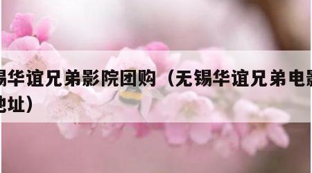无锡华谊兄弟影院团购（无锡华谊兄弟电影小镇地址）
