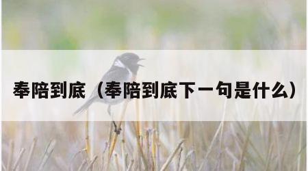 奉陪到底（奉陪到底下一句是什么）