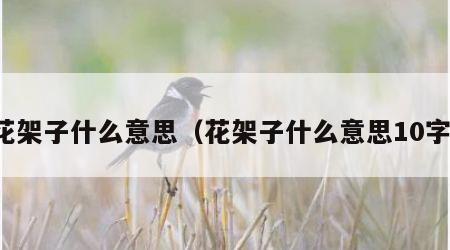 花架子什么意思（花架子什么意思10字）
