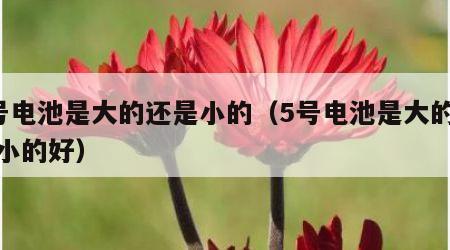5号电池是大的还是小的（5号电池是大的还是小的好）