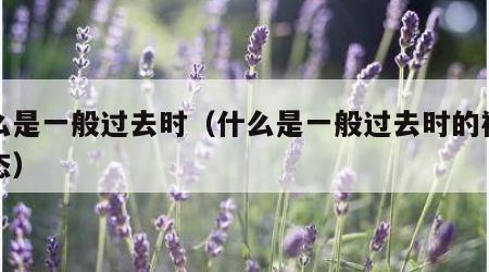 什么是一般过去时（什么是一般过去时的被动语态）