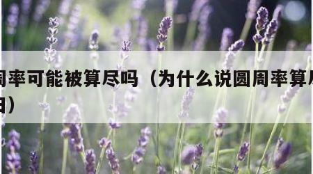 圆周率可能被算尽吗（为什么说圆周率算尽是末日）