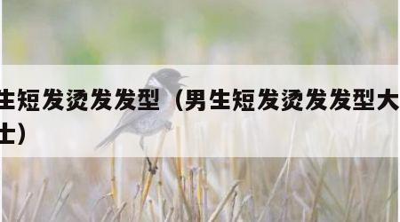 男生短发烫发发型（男生短发烫发发型大全 男士）