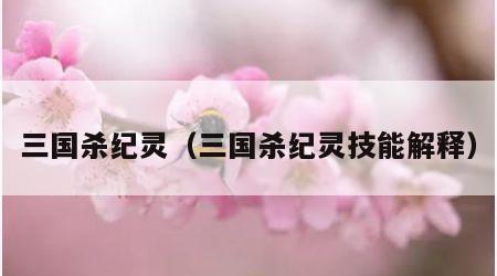 三国杀纪灵（三国杀纪灵技能解释）