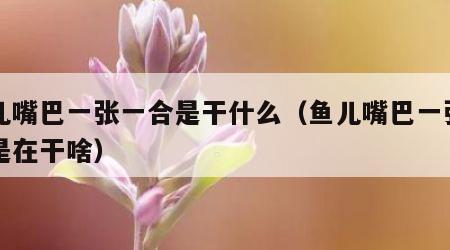 鱼儿嘴巴一张一合是干什么（鱼儿嘴巴一张一合是在干啥）