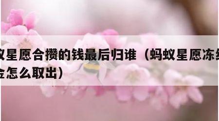 蚂蚁星愿合攒的钱最后归谁（蚂蚁星愿冻结的资金怎么取出）
