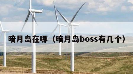 暗月岛在哪（暗月岛boss有几个）