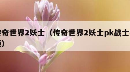 传奇世界2妖士（传奇世界2妖士pk战士视频）