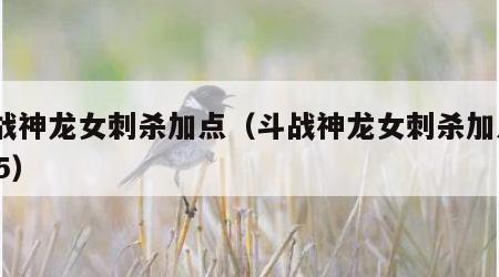 斗战神龙女刺杀加点（斗战神龙女刺杀加点2015）