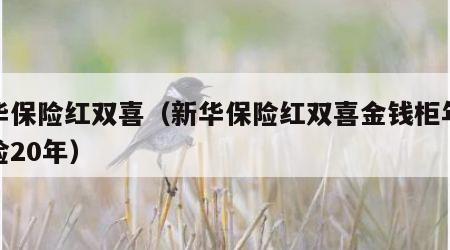 新华保险红双喜（新华保险红双喜金钱柜年金保险20年）