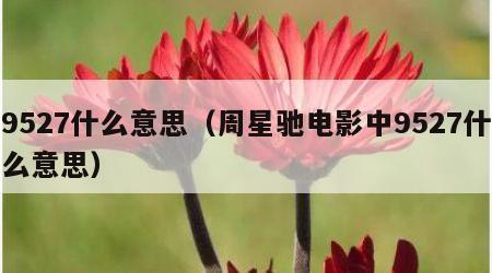 9527什么意思（周星驰电影中9527什么意思）