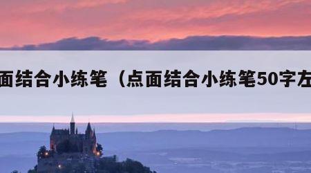 点面结合小练笔（点面结合小练笔50字左右）