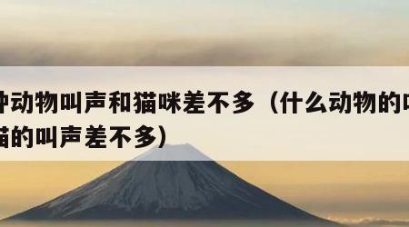哪种动物叫声和猫咪差不多（什么动物的叫声跟猫的叫声差不多）