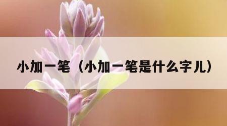 小加一笔（小加一笔是什么字儿）