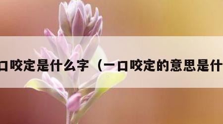 一口咬定是什么字（一口咬定的意思是什么）