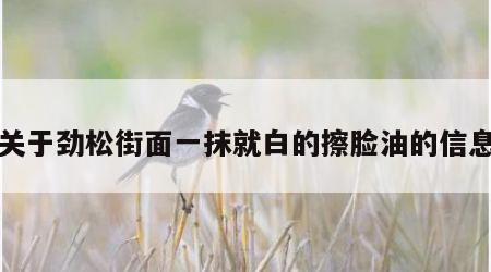 关于劲松街面一抹就白的擦脸油的信息