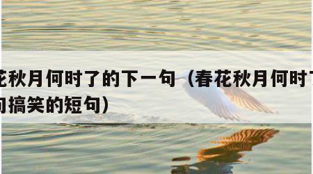 春花秋月何时了的下一句（春花秋月何时了下一句搞笑的短句）