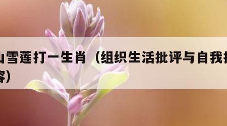 天山雪莲打一生肖（组织生活批评与自我批评内容）
