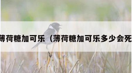 薄荷糖加可乐（薄荷糖加可乐多少会死）