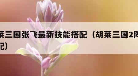 胡莱三国张飞最新技能搭配（胡莱三国2阵容搭配）