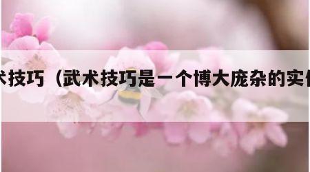 武术技巧（武术技巧是一个博大庞杂的实体包括）