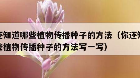 你还知道哪些植物传播种子的方法（你还知道哪些植物传播种子的方法写一写）