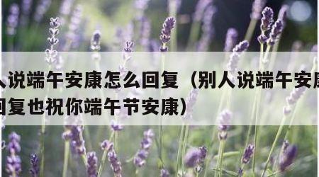 别人说端午安康怎么回复（别人说端午安康怎么回复也祝你端午节安康）