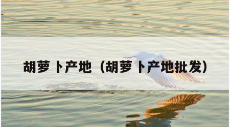 胡萝卜产地（胡萝卜产地批发）