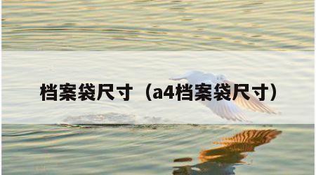 档案袋尺寸（a4档案袋尺寸）
