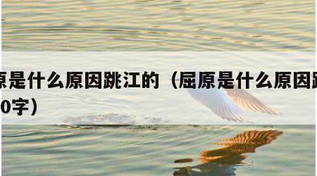 屈原是什么原因跳江的（屈原是什么原因跳江的20字）
