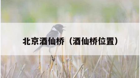 北京酒仙桥（酒仙桥位置）