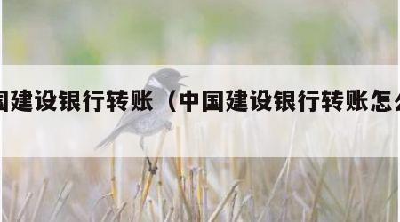 中国建设银行转账（中国建设银行转账怎么转）