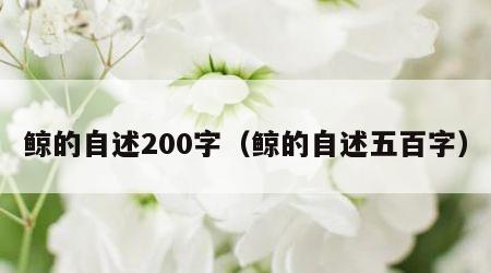 鲸的自述200字（鲸的自述五百字）