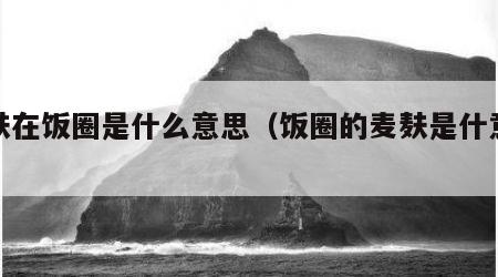 麦麸在饭圈是什么意思（饭圈的麦麸是什意思）